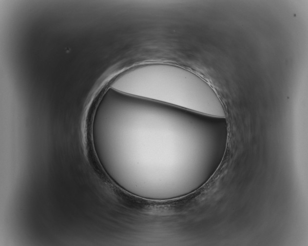 X0000100320296200806051356