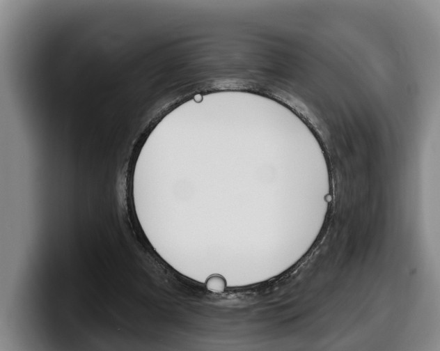 X0000100320297200806051355