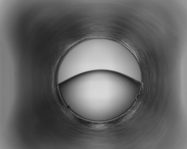 X0000100320301200806051355