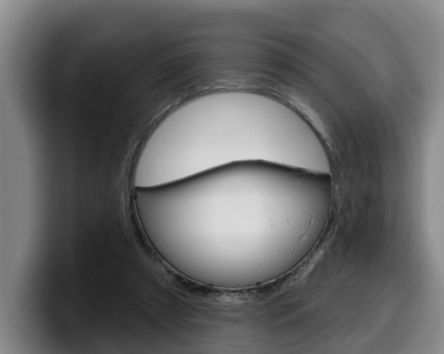 X0000100320305200806051355