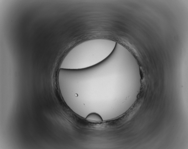 X0000100320306200806051355