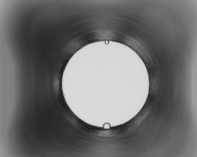 X0000100320309200806051355