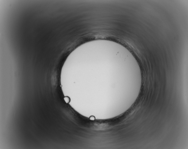 X0000100320311200806051355