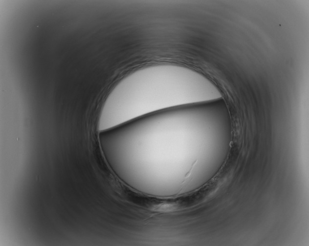 X0000100320312200806051355