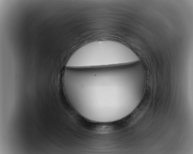 X0000100320319200806051355
