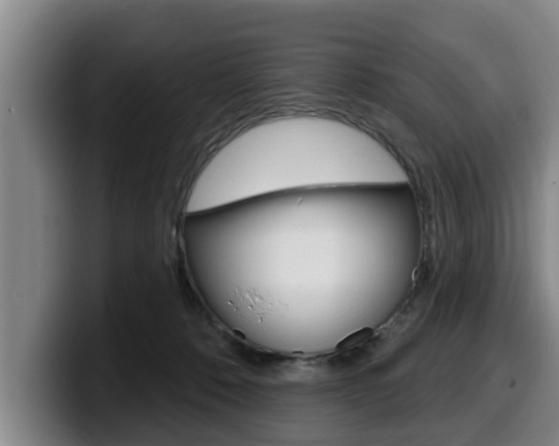 X0000100320320200806051355