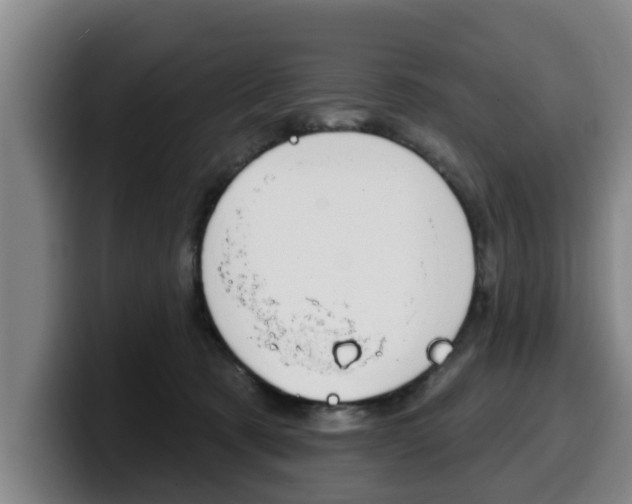 X0000100320321200806051355