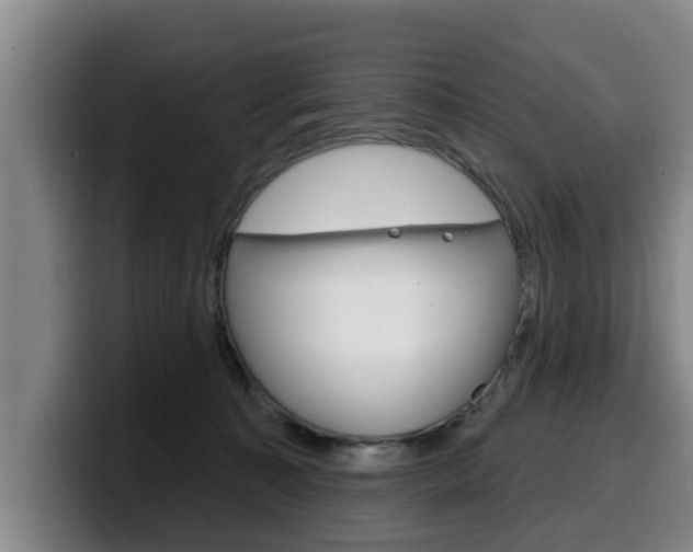 X0000100320323200806051355
