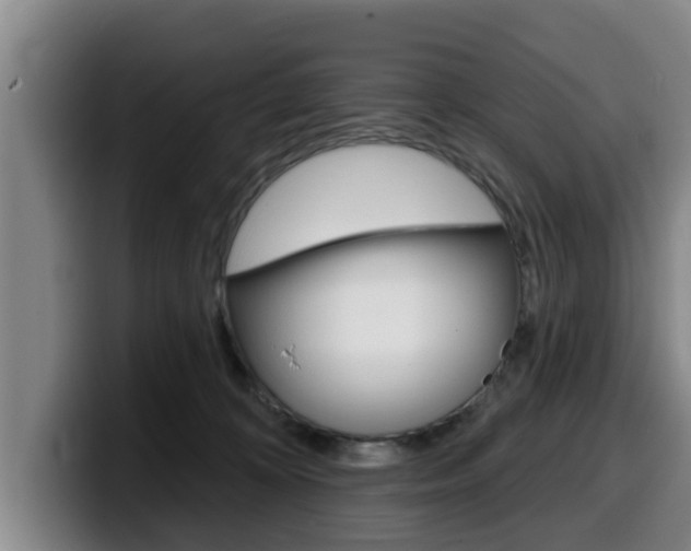 X0000100320324200806051355