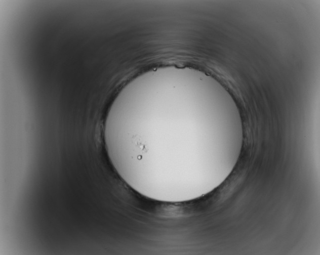 X0000100320325200806051355