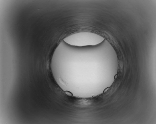 X0000100320326200806051355