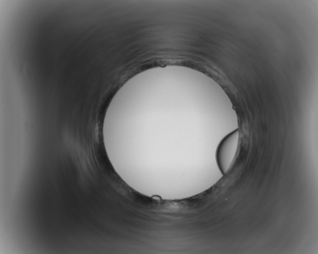 X0000100320330200806051355