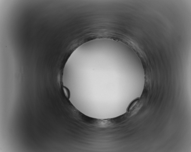 X0000100320333200806051355