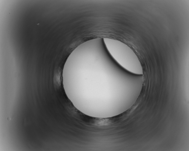X0000100320334200806051355