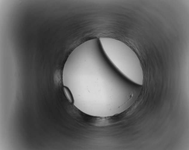 X0000100320335200806051355