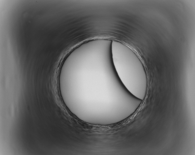 X0000100320337200806051354
