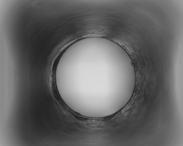 X0000100320338200806051354