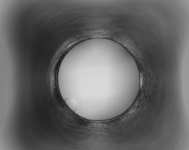 X0000100320339200806051354