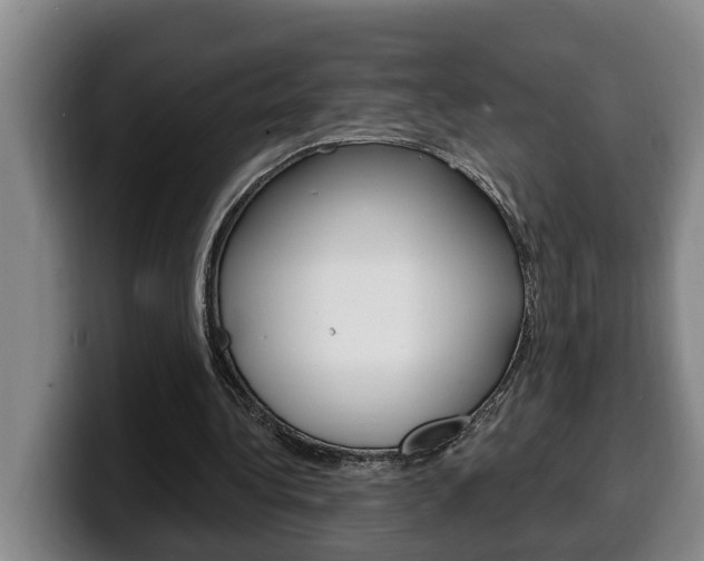 X0000100320340200806051354