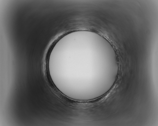 X0000100320342200806051354