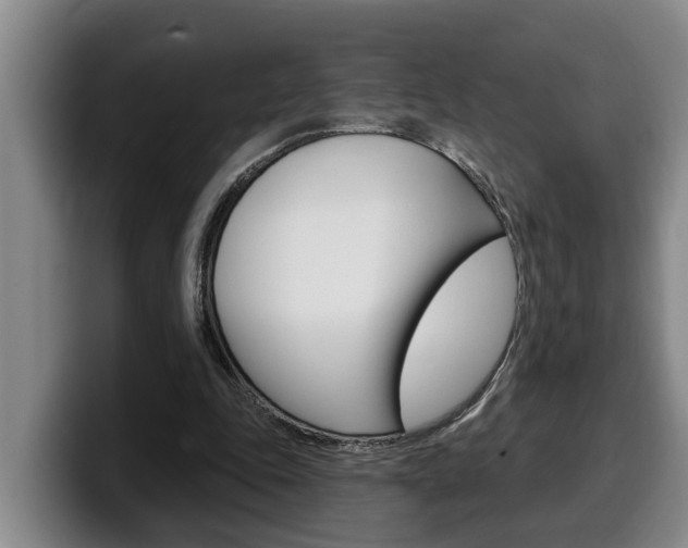 X0000100320343200806051354