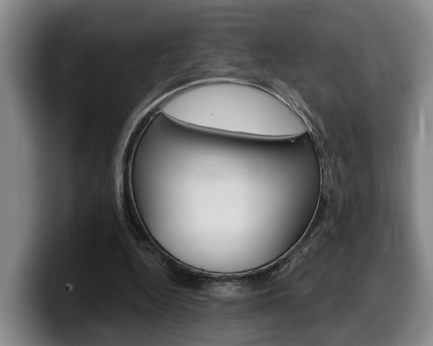 X0000100320344200806051354