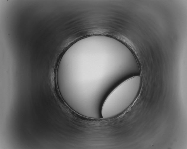 X0000100320345200806051354