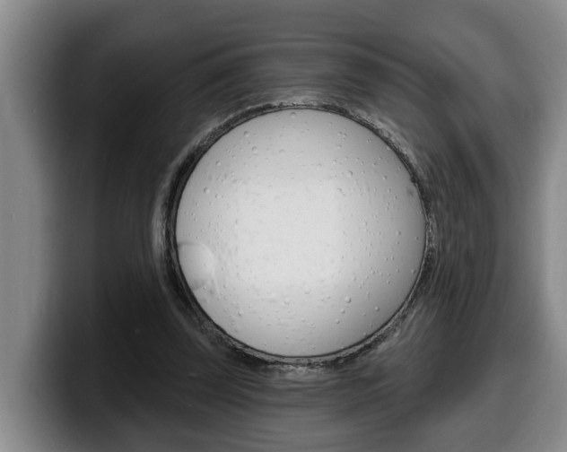 X0000100320347200806051354
