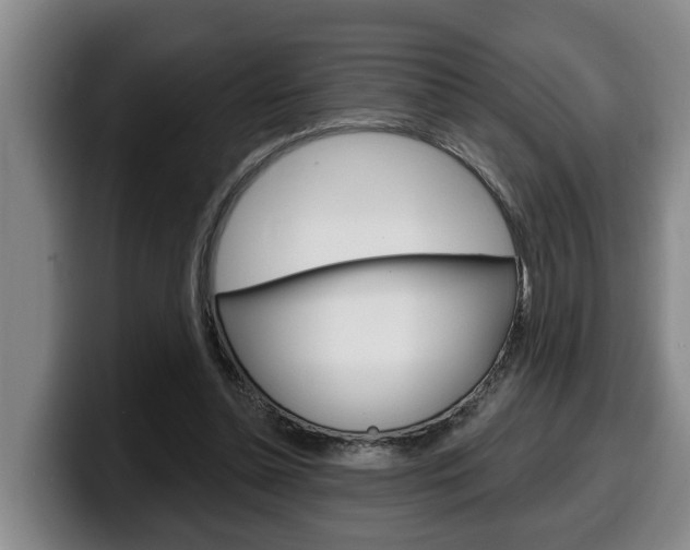 X0000100320348200806051354