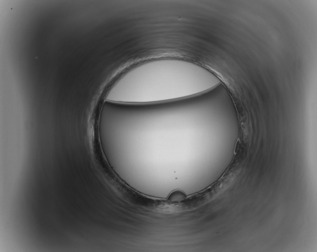 X0000100320350200806051354
