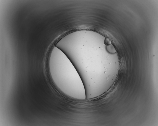 X0000100320351200806051354