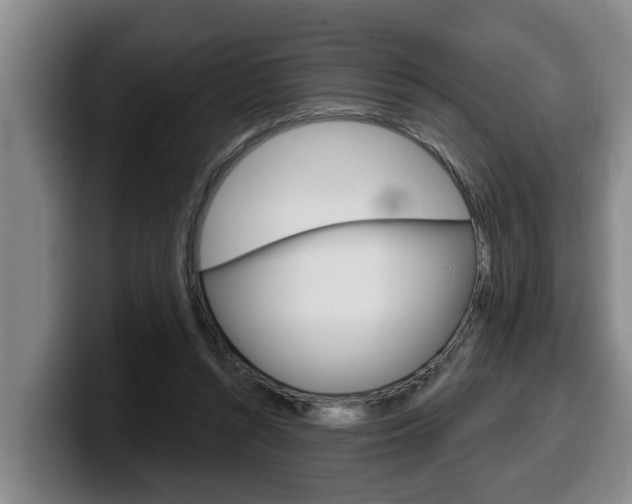 X0000100320352200806051354