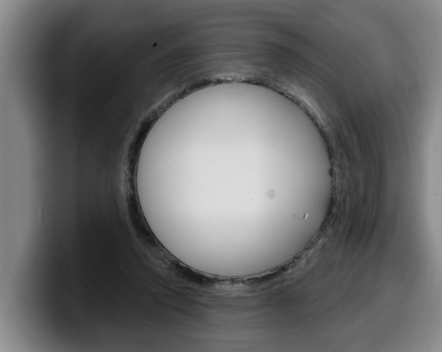 X0000100320354200806051354