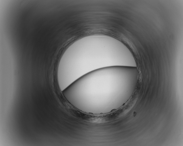 X0000100320356200806051355
