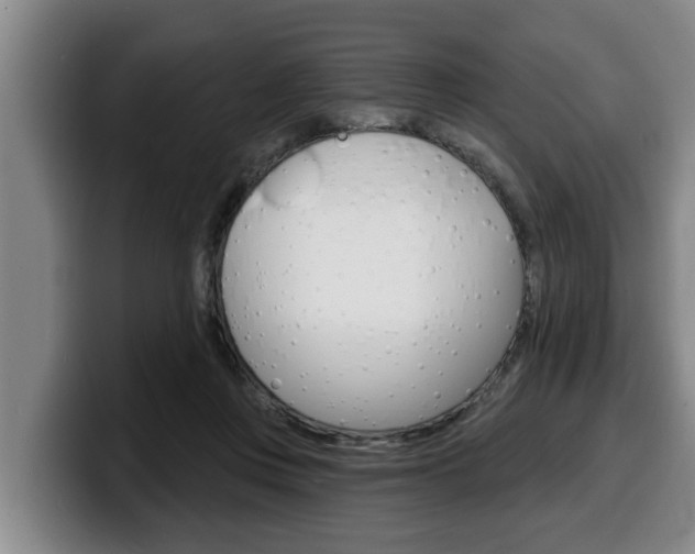 X0000100320359200806051355