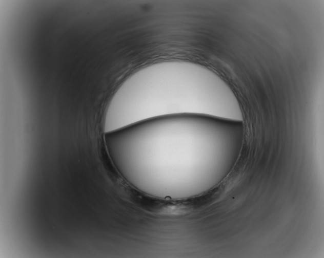 X0000100320364200806051355