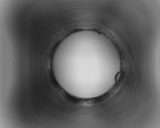 X0000100320368200806051355