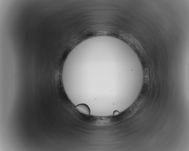 X0000100320369200806051355