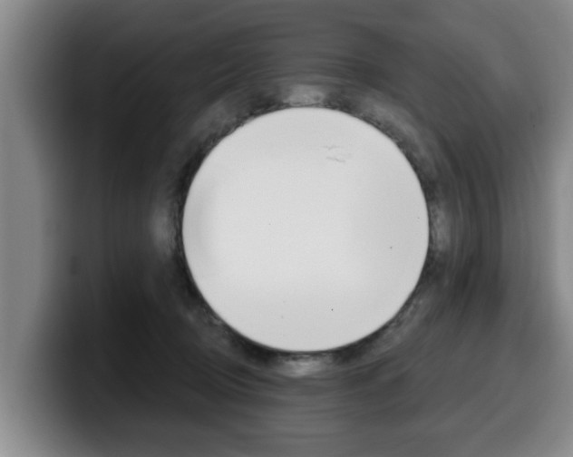 X0000100320370200806051355