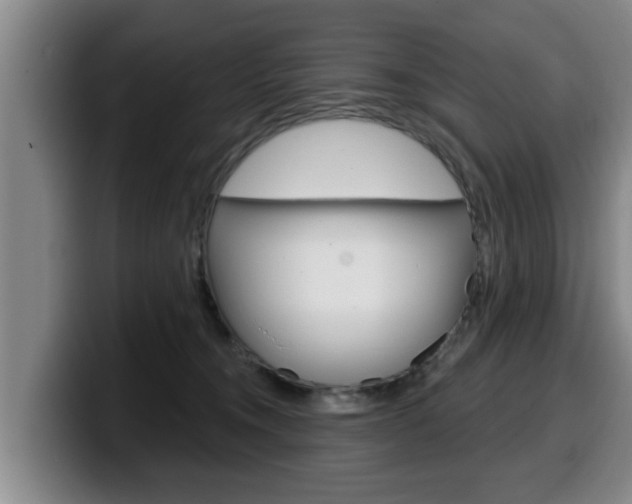 X0000100320372200806051355