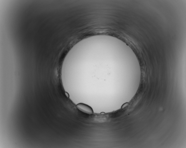 X0000100320373200806051355