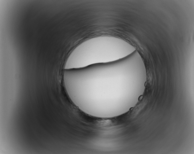 X0000100320374200806051355