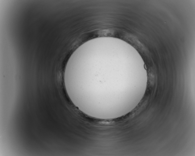X0000100320375200806051355