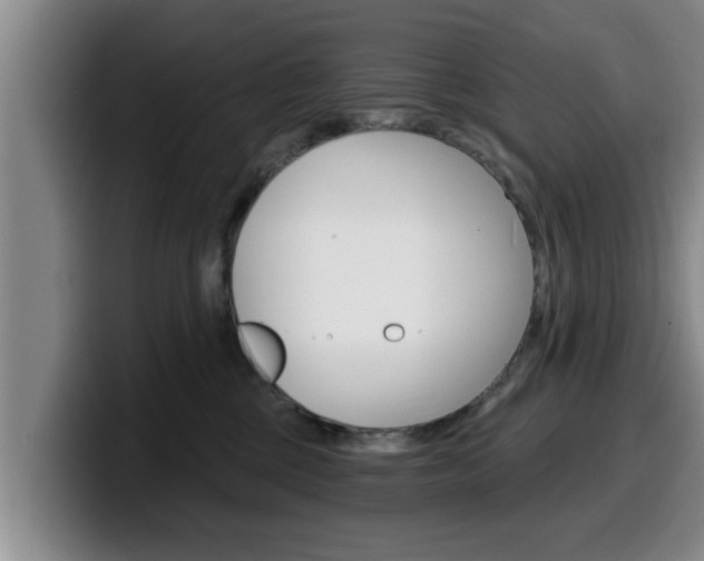 X0000100320377200806051355