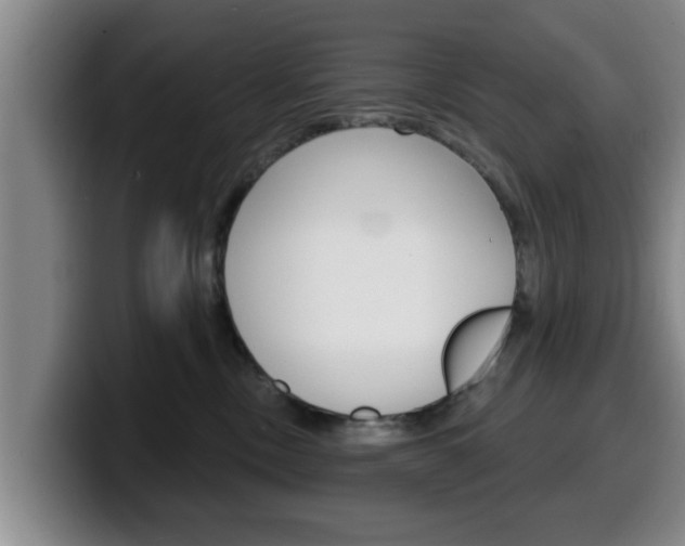 X0000100320378200806051355