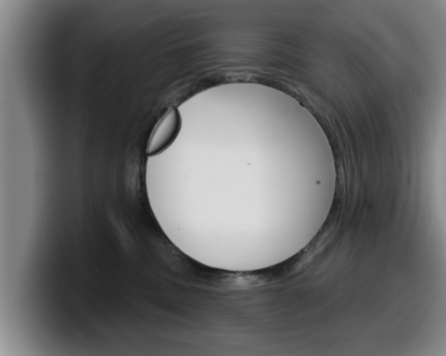 X0000100320379200806051355