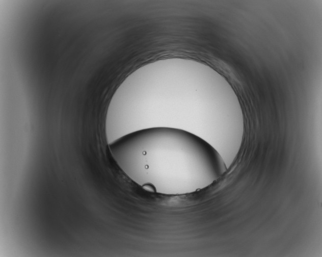 X0000100320382200806051355