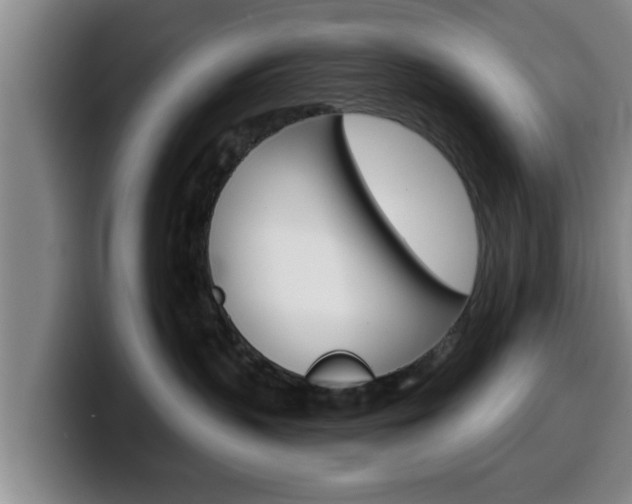 X0000100320383200806051355