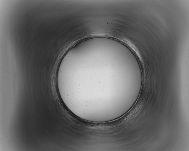 X0000100320385200806051354
