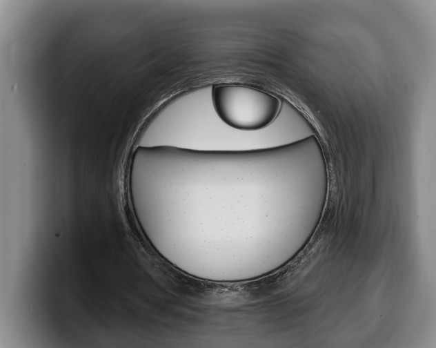 X0000100320386200806051354